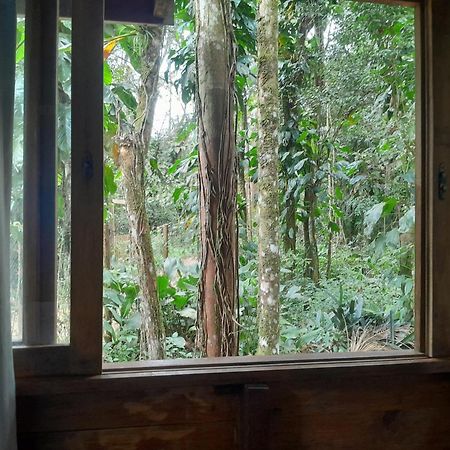 Sitio Das Bromelias Cachoeira Do Tombador ウバトゥバ エクステリア 写真