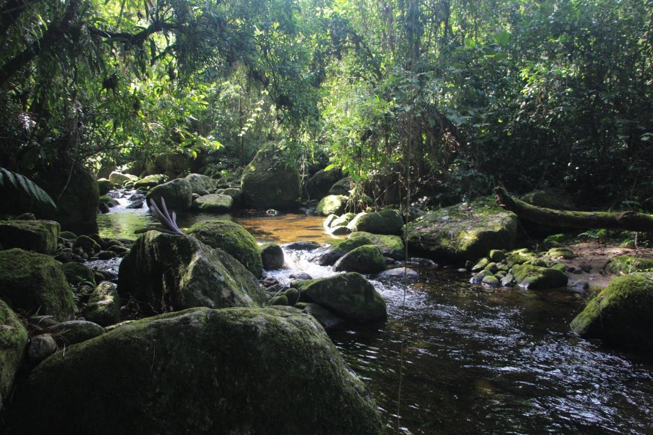 Sitio Das Bromelias Cachoeira Do Tombador ウバトゥバ エクステリア 写真