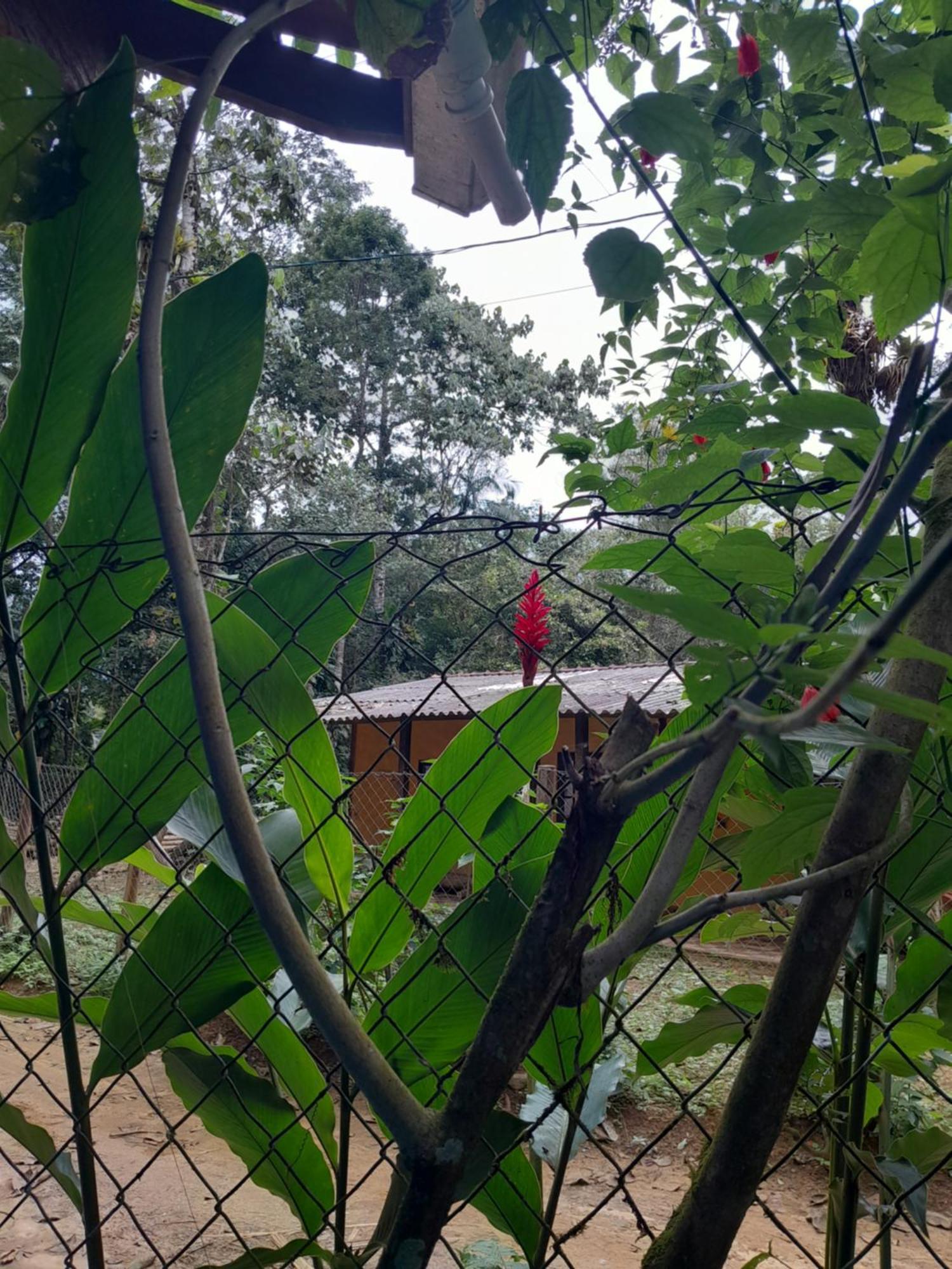 Sitio Das Bromelias Cachoeira Do Tombador ウバトゥバ エクステリア 写真