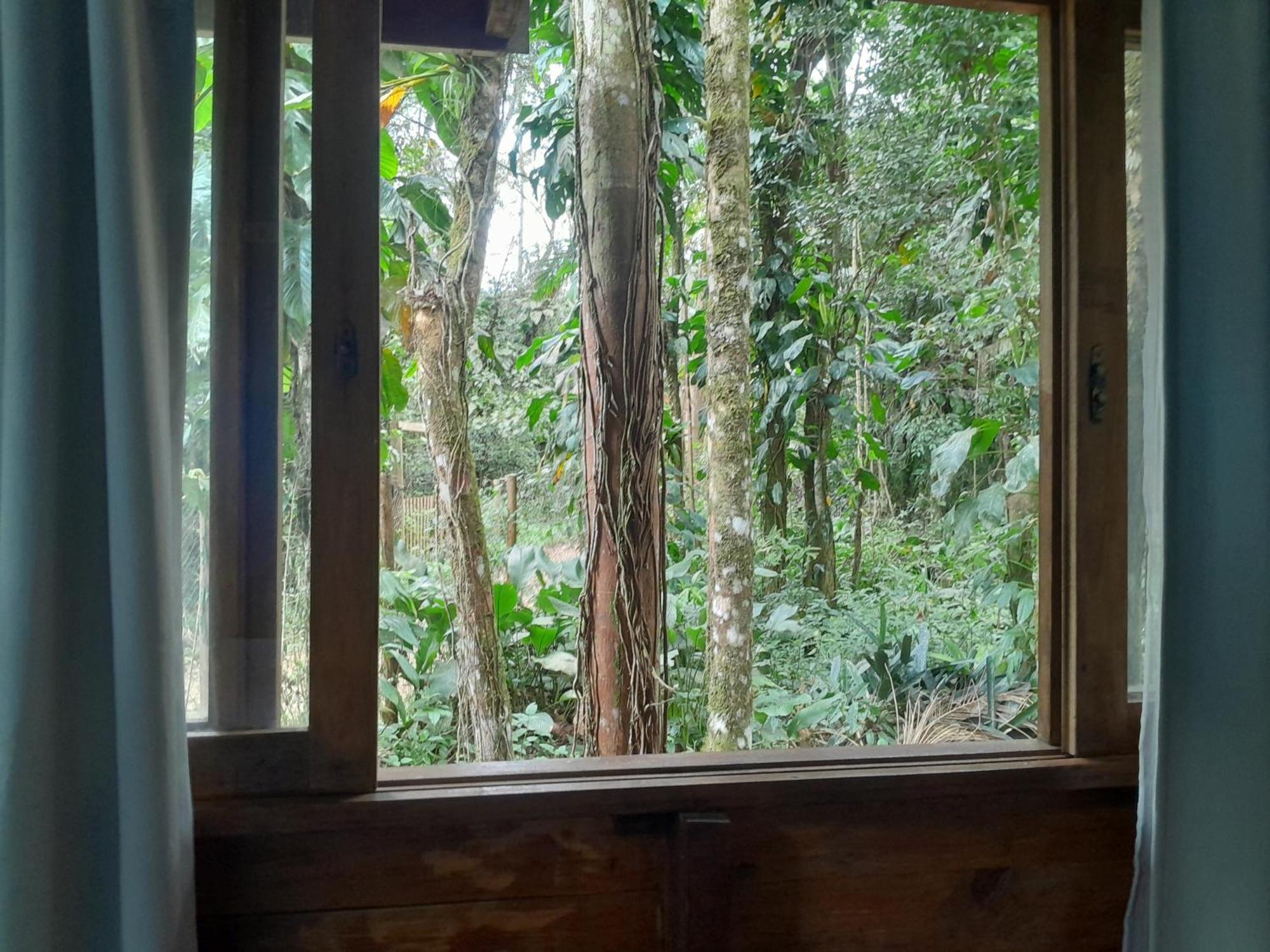 Sitio Das Bromelias Cachoeira Do Tombador ウバトゥバ エクステリア 写真